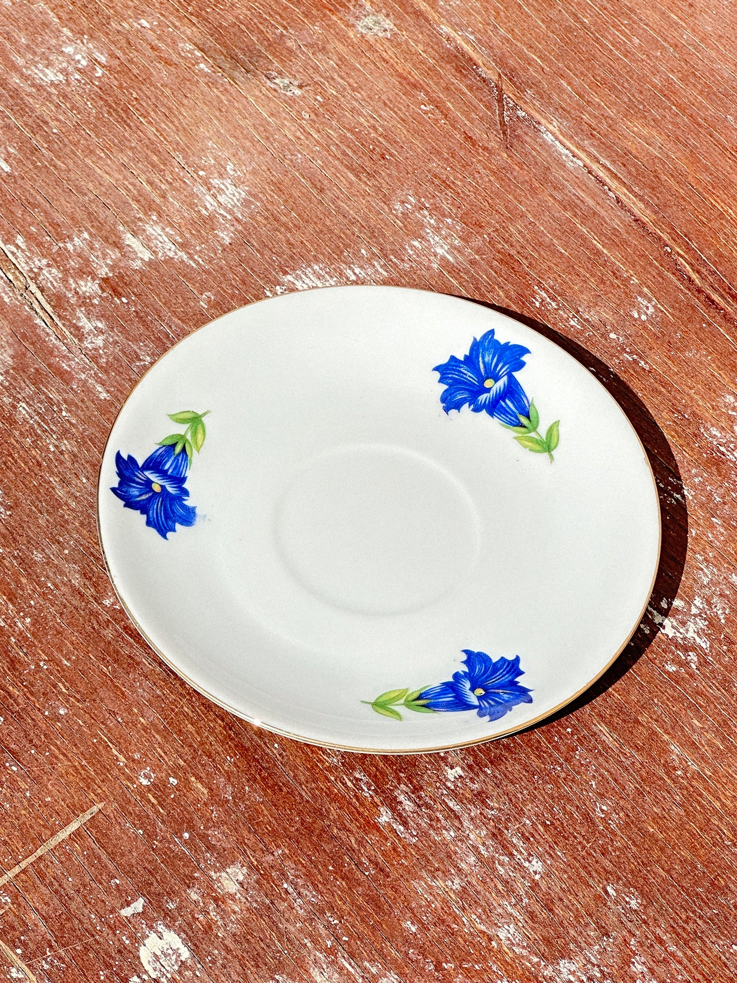 Mix & Match Set Gentian Collection Plankenhammer Floss x Seltmann Weiden x Joseph Rieber x Johann Haviland (Germany, 1940s)