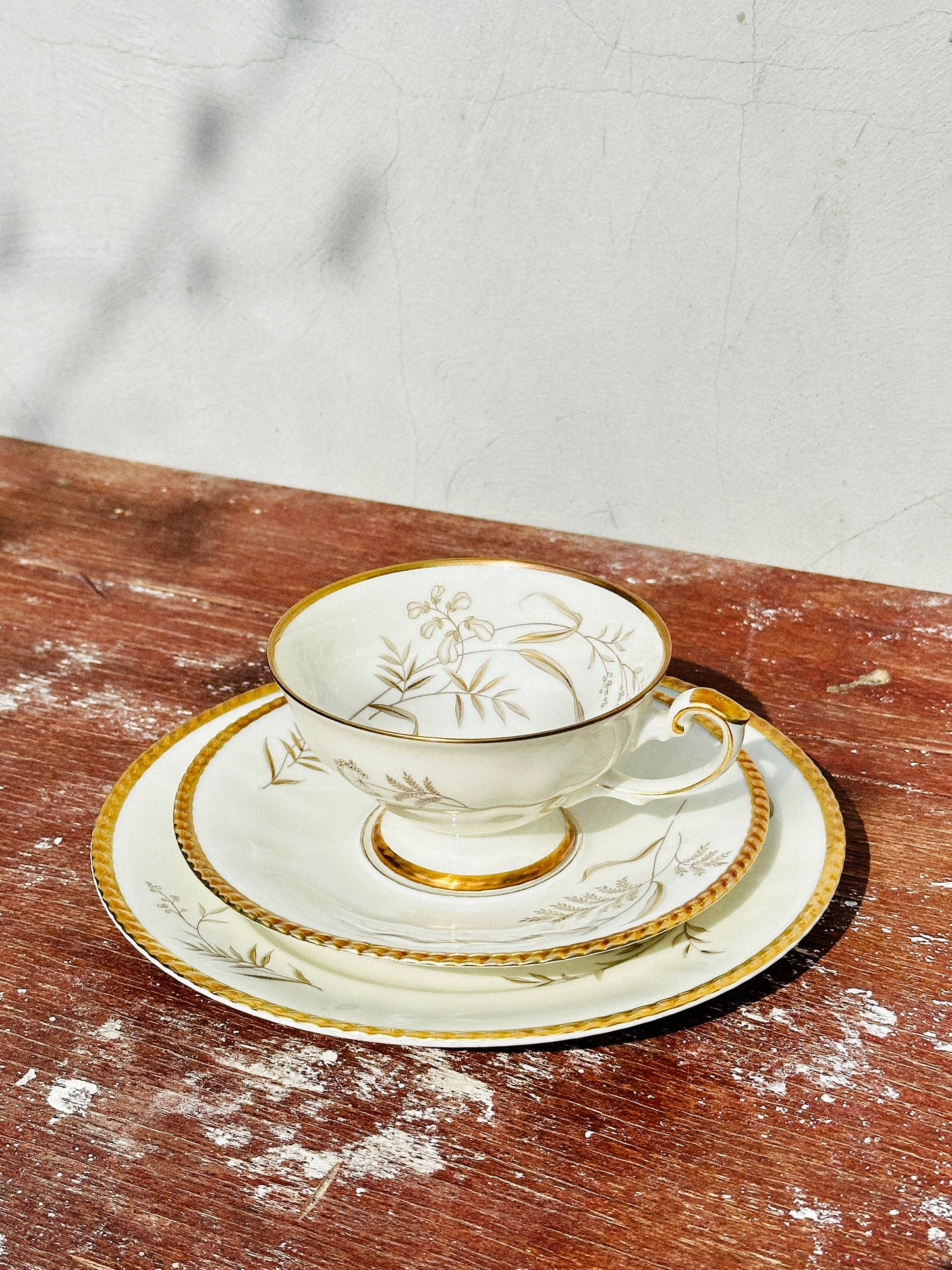 Rare Johann Haviland Porcelain Trio Set (Germany, 1920s)