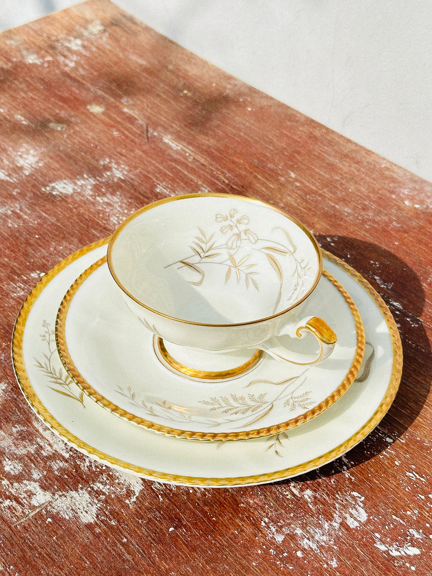 Rare Johann Haviland Porcelain Trio Set (Germany, 1920s)