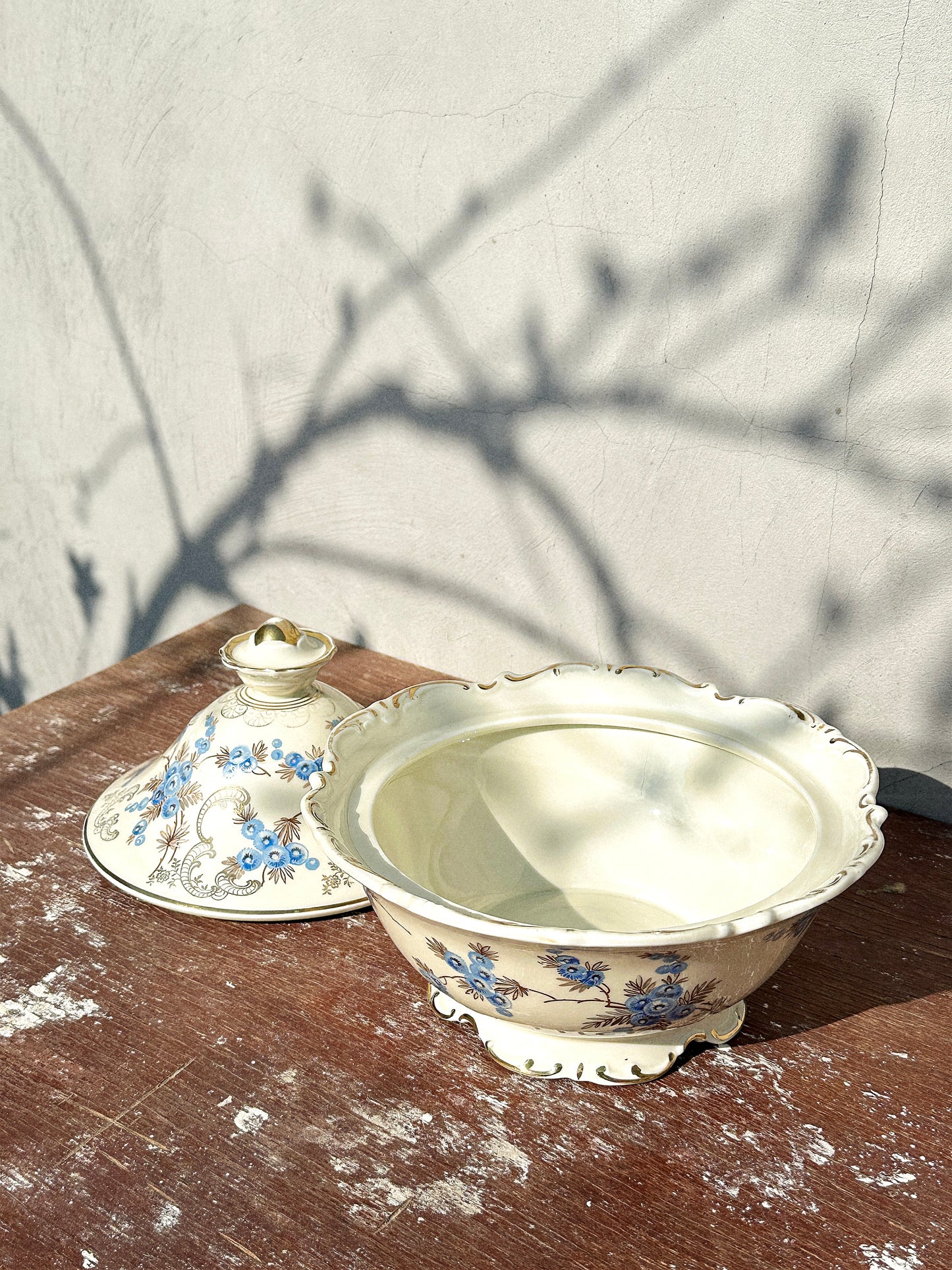 Rare Mitterteich Lidded Porcelain Tureen/Lidded Bowl/Bonbonniere (Germany, 1930s)