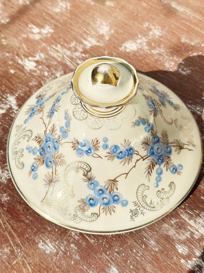 Rare Mitterteich Lidded Porcelain Tureen/Lidded Bowl/Bonbonniere (Germany, 1930s)
