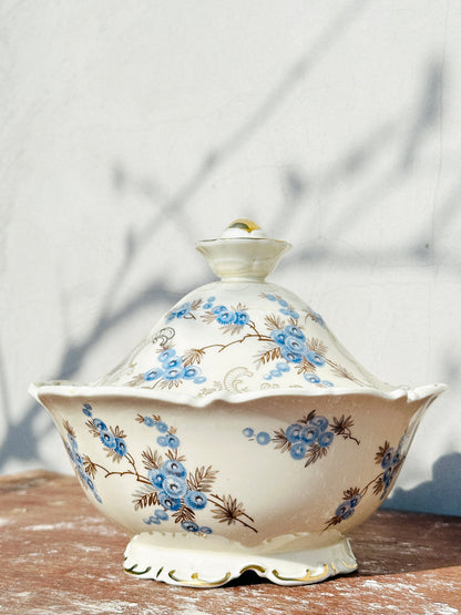Rare Mitterteich Lidded Porcelain Tureen/Lidded Bowl/Bonbonniere (Germany, 1930s)