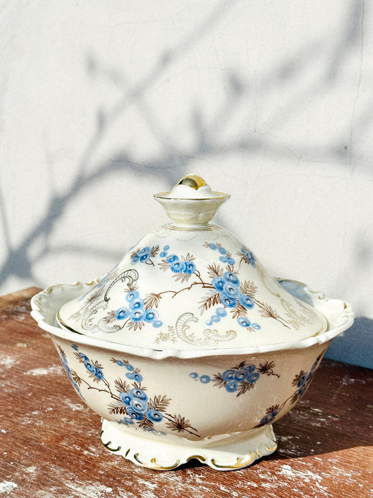 Rare Mitterteich Lidded Porcelain Tureen/Lidded Bowl/Bonbonniere (Germany, 1930s)