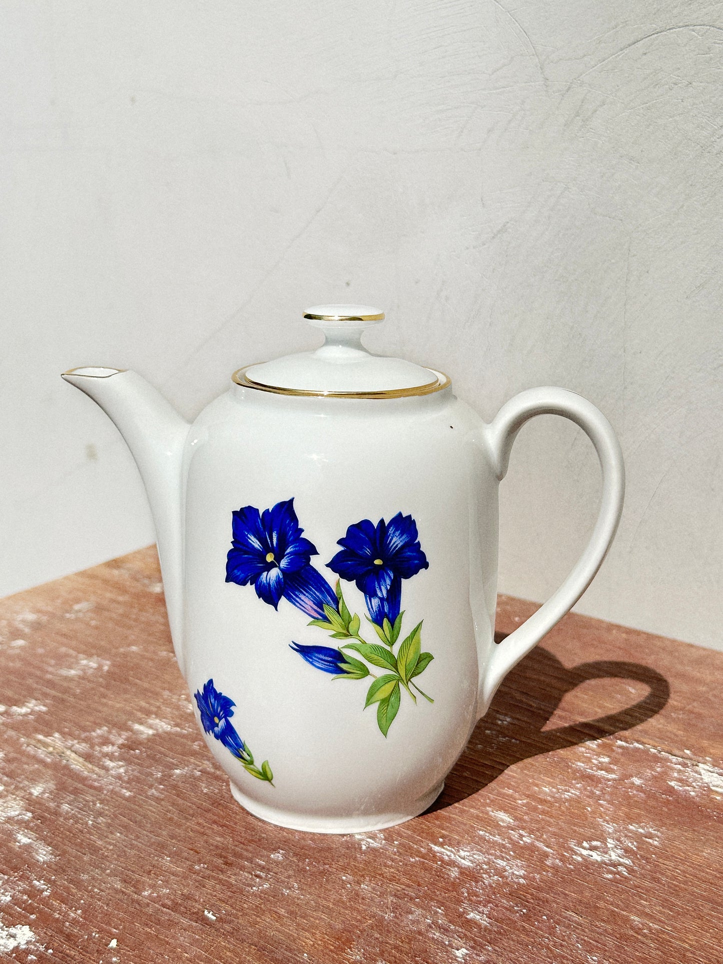 Mix & Match Set Gentian Collection Plankenhammer Floss x Seltmann Weiden x Joseph Rieber  x Johann Haviland (Germany, 1940s)