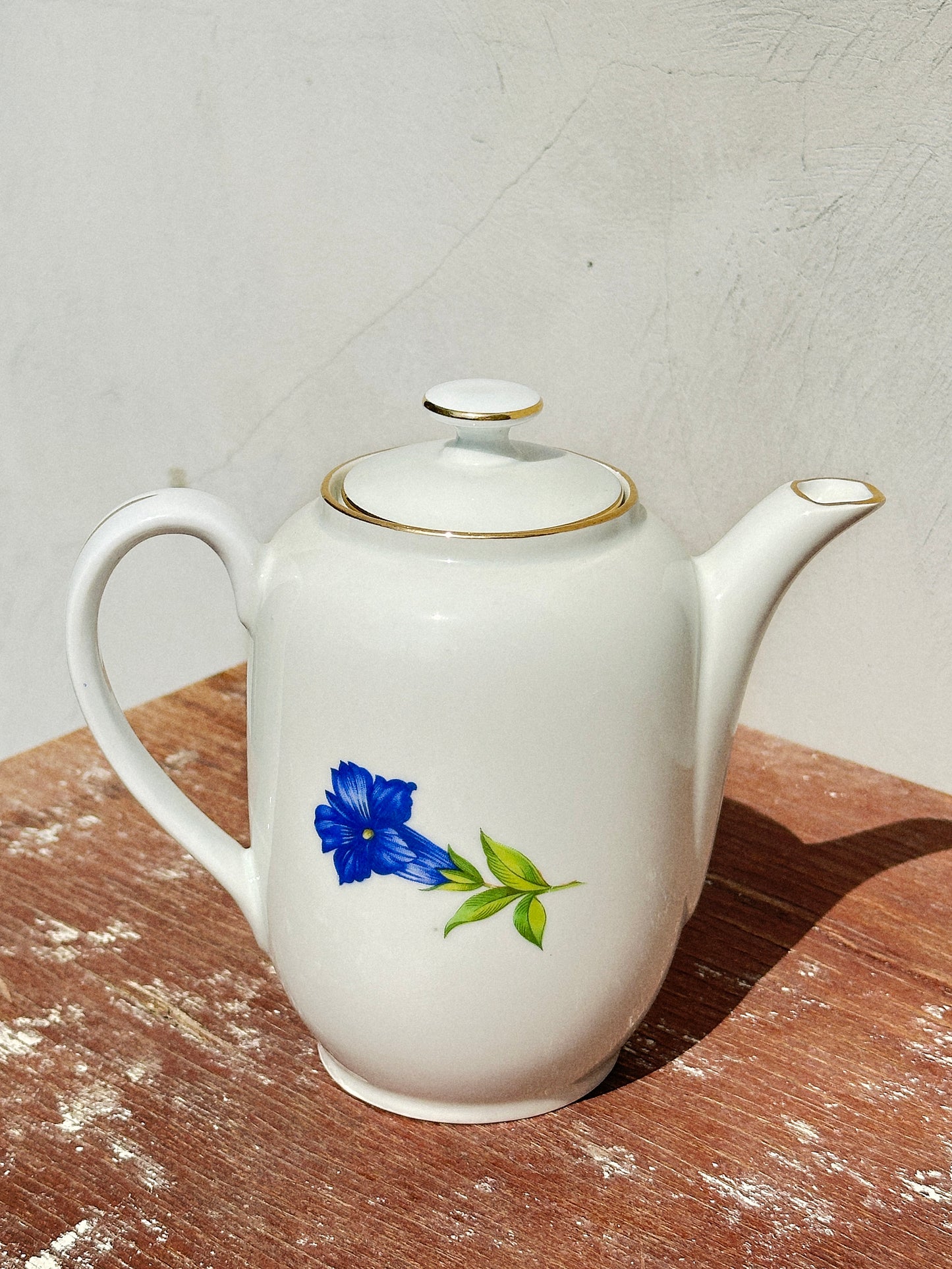 Mix & Match Set Gentian Collection Plankenhammer Floss x Seltmann Weiden x Joseph Rieber  x Johann Haviland (Germany, 1940s)