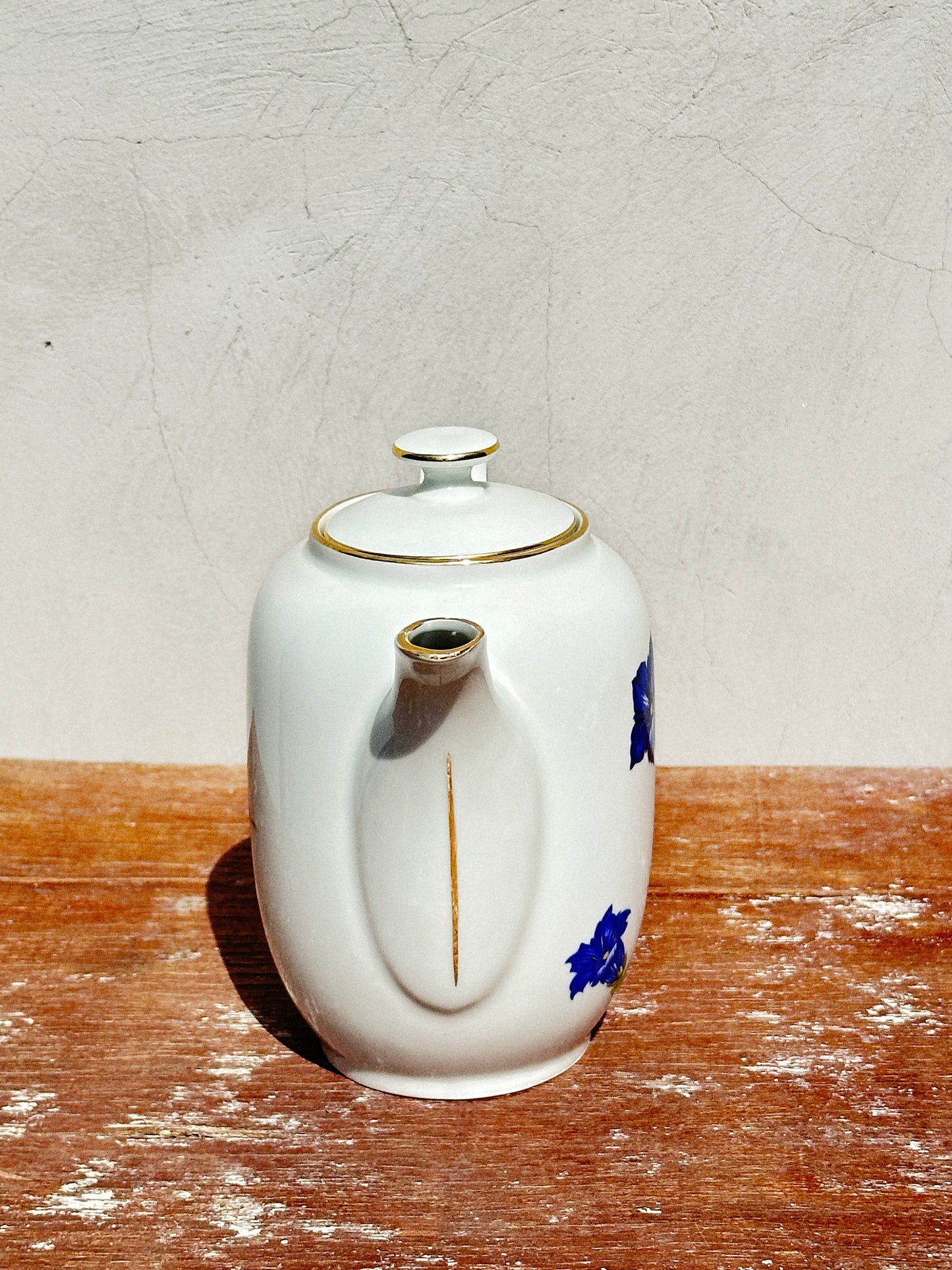 Mix & Match Set Gentian Collection Plankenhammer Floss x Seltmann Weiden x Joseph Rieber  x Johann Haviland (Germany, 1940s)