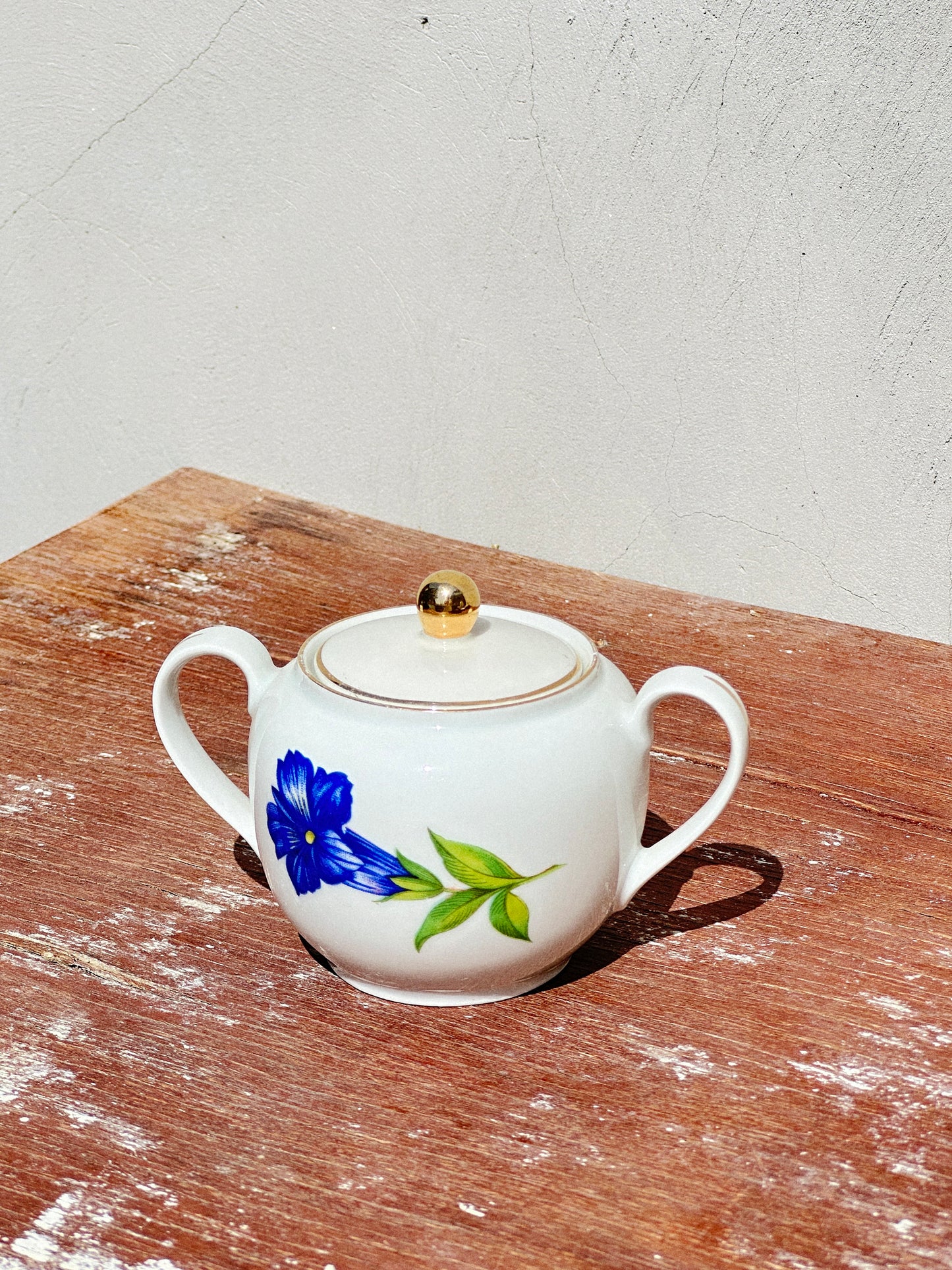Mix & Match Set Gentian Collection Plankenhammer Floss x Seltmann Weiden x Joseph Rieber  x Johann Haviland (Germany, 1940s)