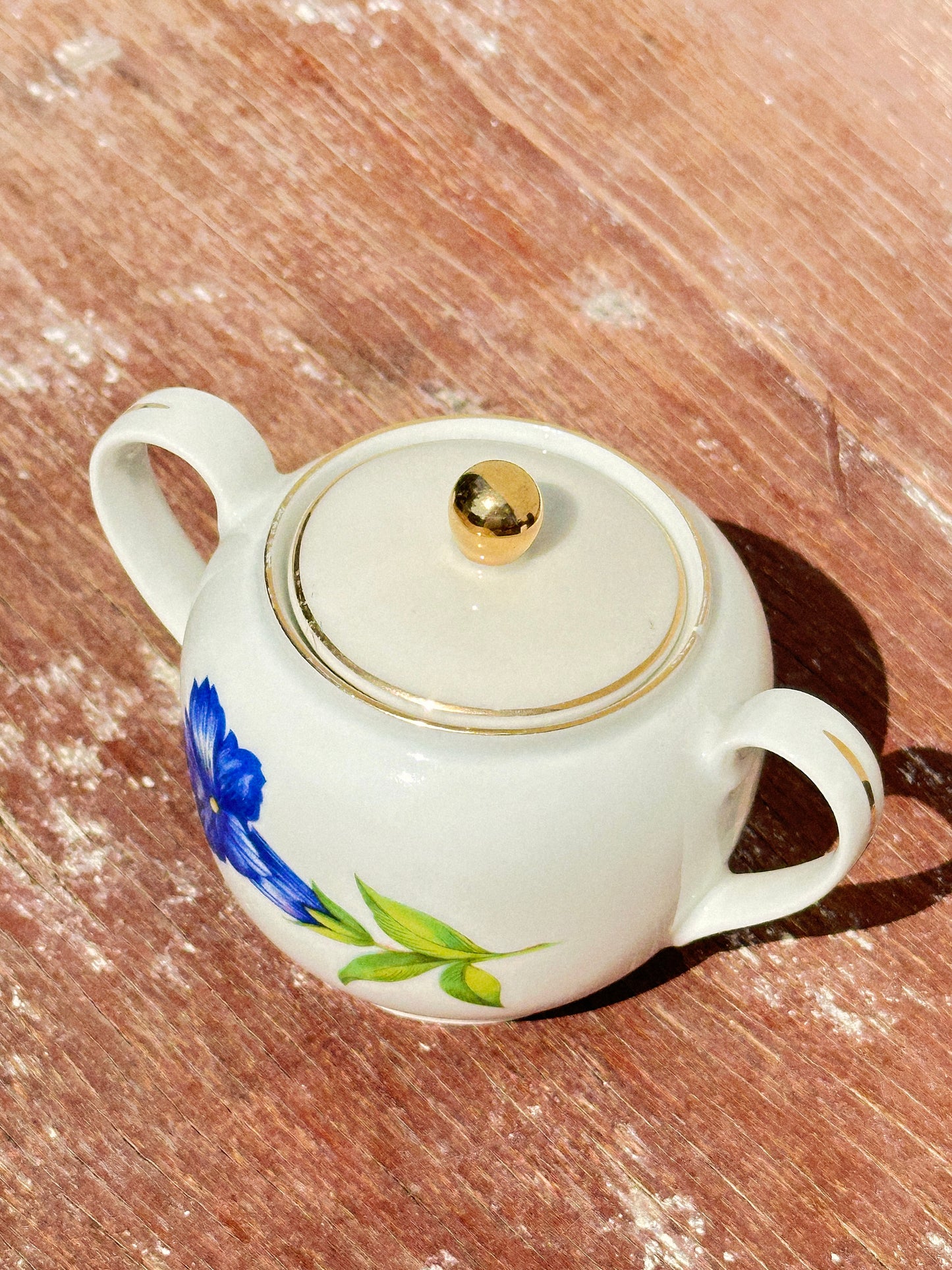 Mix & Match Set Gentian Collection Plankenhammer Floss x Seltmann Weiden x Joseph Rieber  x Johann Haviland (Germany, 1940s)