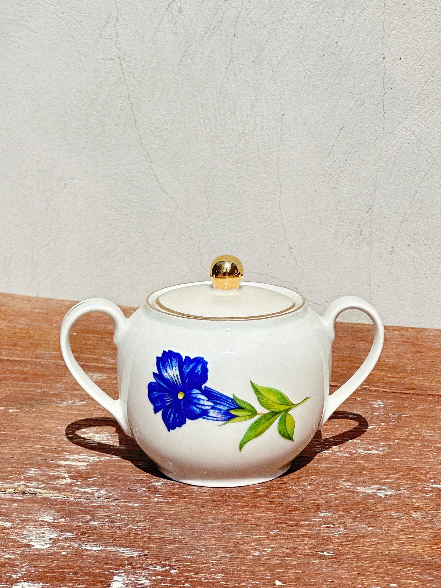 Mix & Match Set Gentian Collection Plankenhammer Floss x Seltmann Weiden x Joseph Rieber  x Johann Haviland (Germany, 1940s)