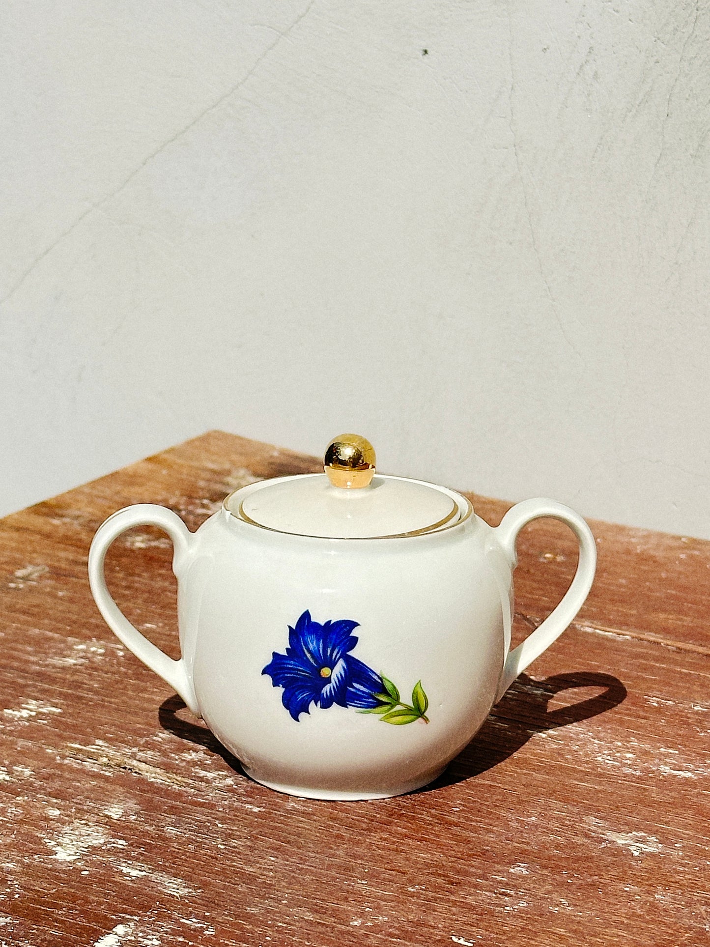Mix & Match Set Gentian Collection Plankenhammer Floss x Seltmann Weiden x Joseph Rieber  x Johann Haviland (Germany, 1940s)