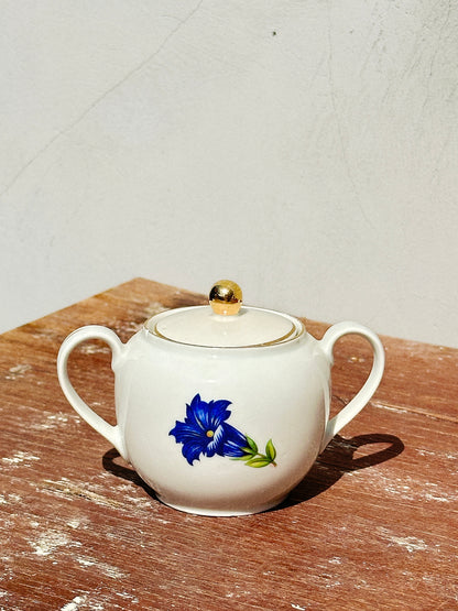 Mix & Match Set Gentian Collection Plankenhammer Floss x Seltmann Weiden x Joseph Rieber  x Johann Haviland (Germany, 1940s)