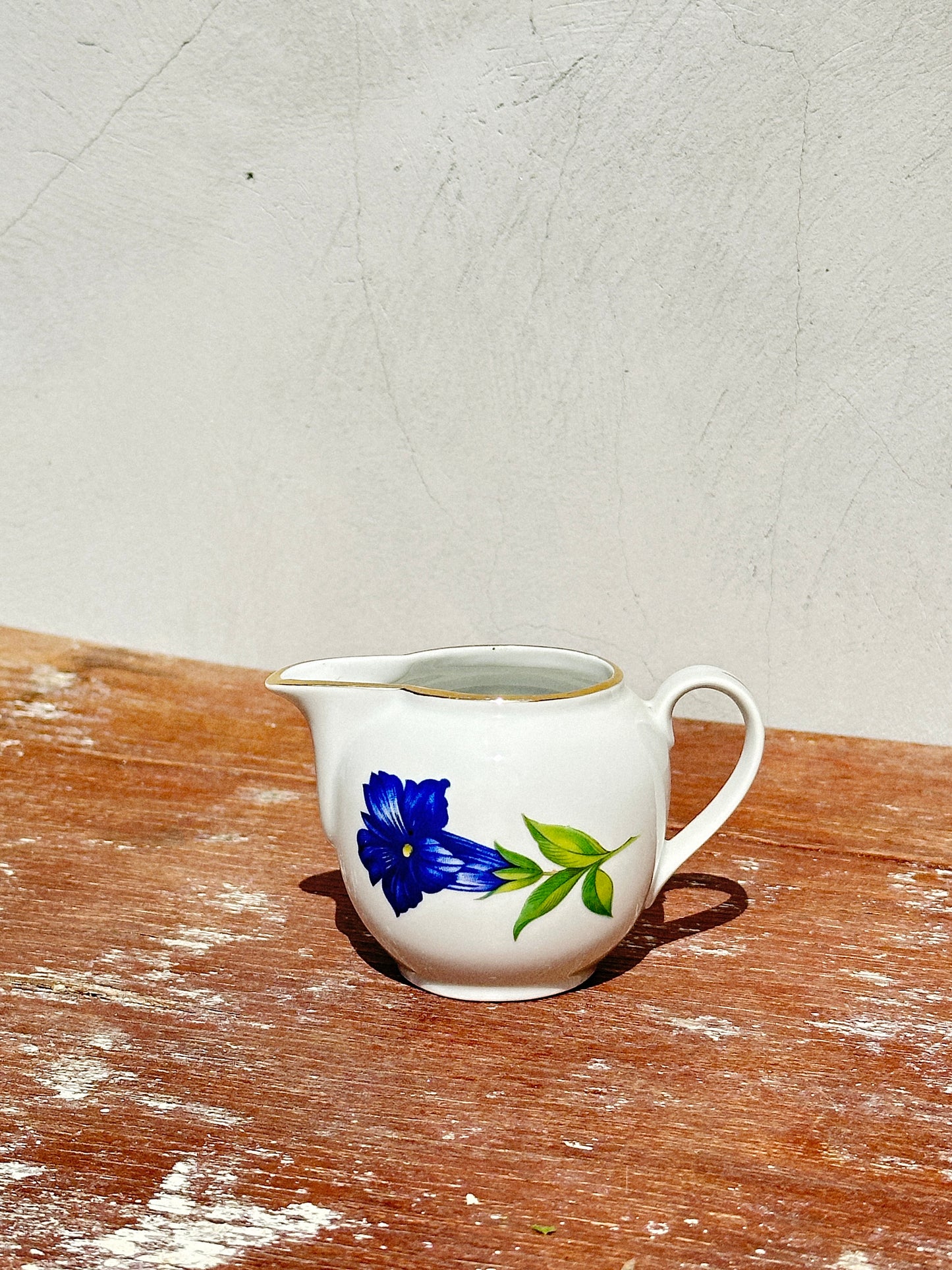Mix & Match Set Gentian Collection Plankenhammer Floss x Seltmann Weiden x Joseph Rieber  x Johann Haviland (Germany, 1940s)