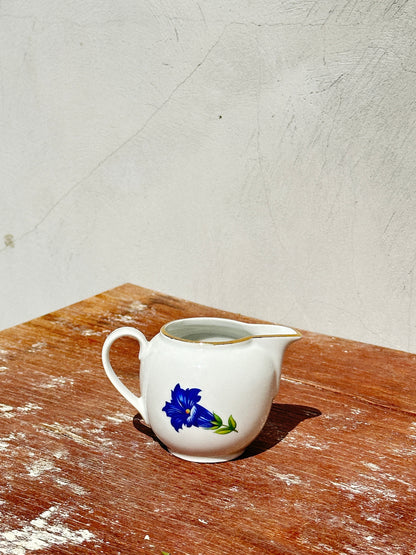 Mix & Match Set Gentian Collection Plankenhammer Floss x Seltmann Weiden x Joseph Rieber  x Johann Haviland (Germany, 1940s)