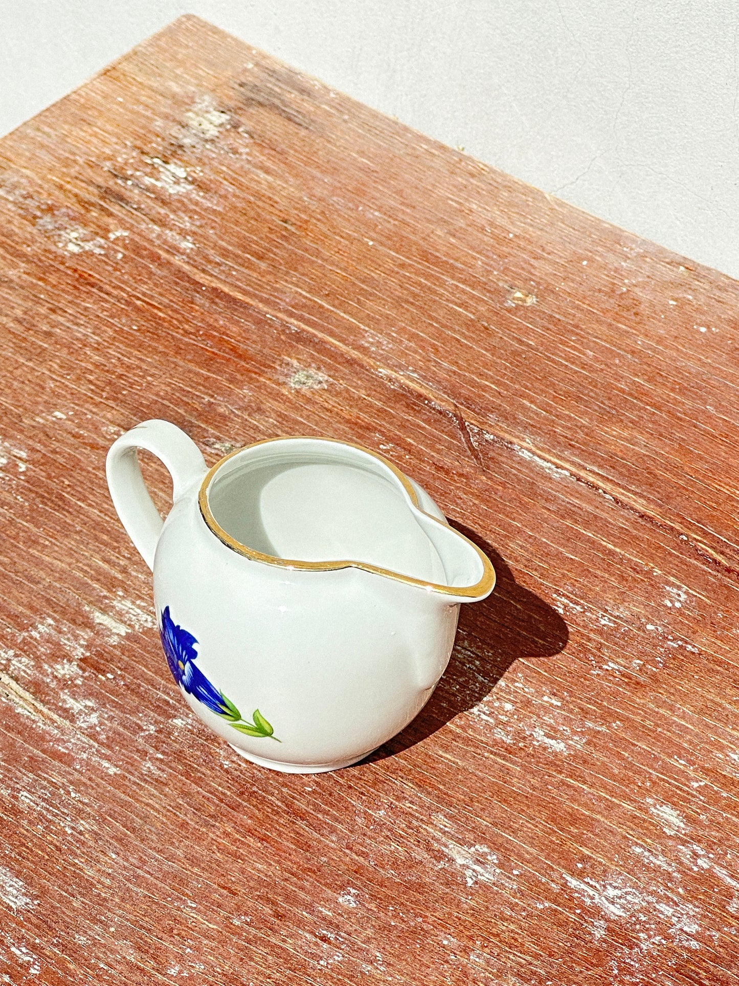 Mix & Match Set Gentian Collection Plankenhammer Floss x Seltmann Weiden x Joseph Rieber  x Johann Haviland (Germany, 1940s)