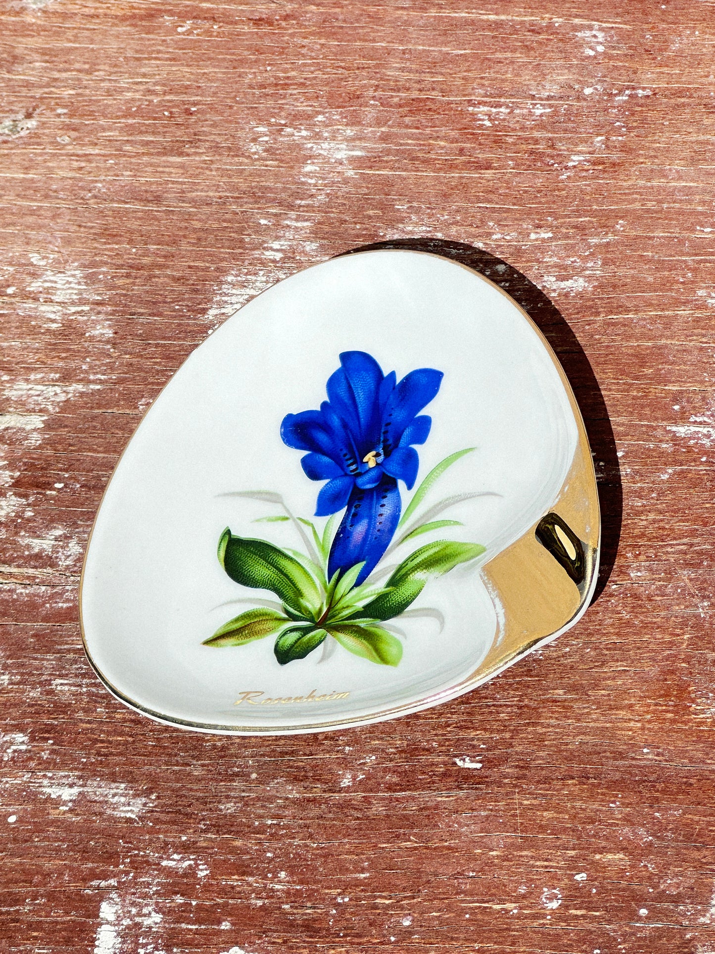 Mix & Match Set Gentian Collection Plankenhammer Floss x Seltmann Weiden x Joseph Rieber  x Johann Haviland (Germany, 1940s)