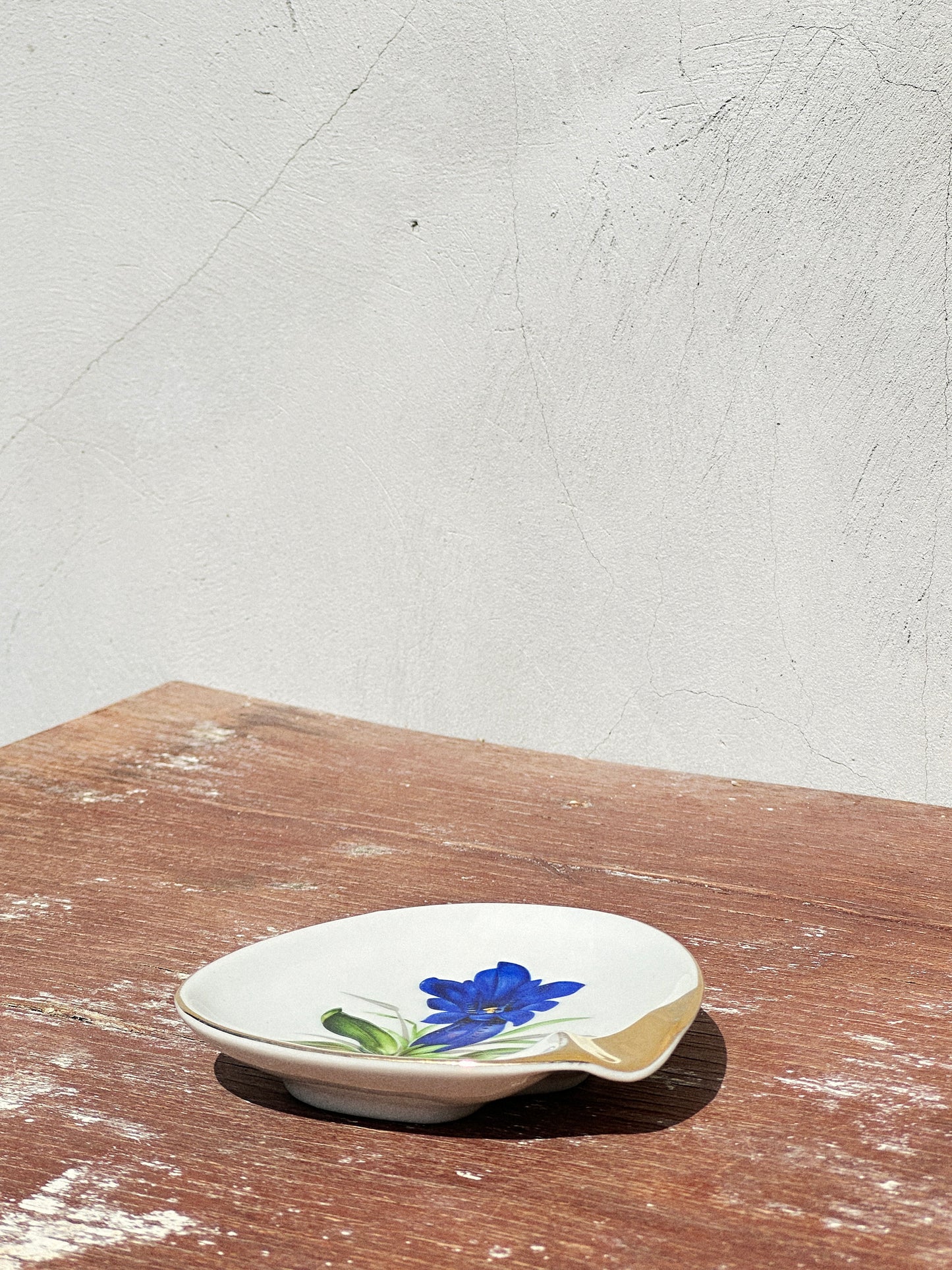 Mix & Match Set Gentian Collection Plankenhammer Floss x Seltmann Weiden x Joseph Rieber  x Johann Haviland (Germany, 1940s)