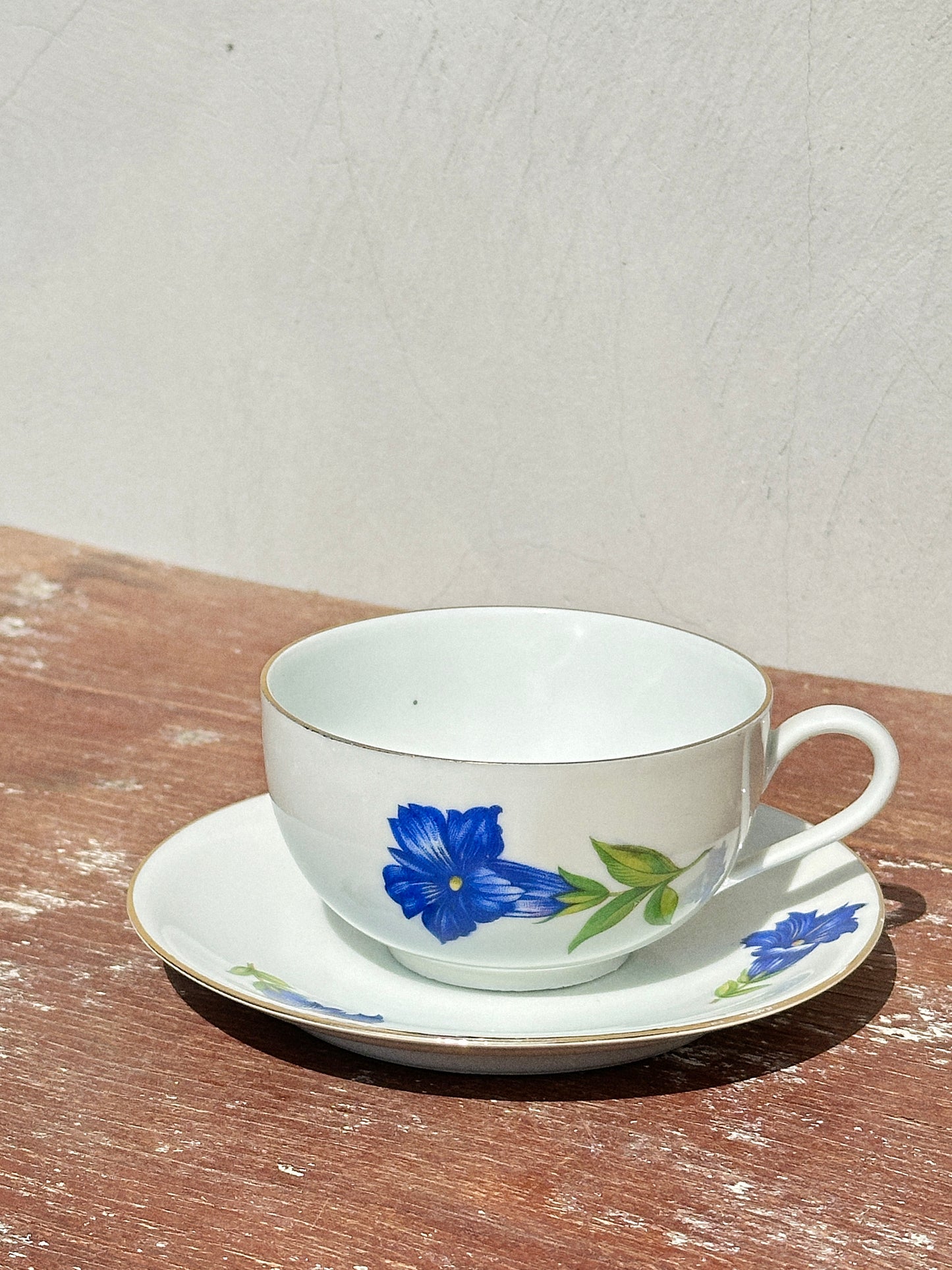 Mix & Match Set Gentian Collection Plankenhammer Floss x Seltmann Weiden x Joseph Rieber  x Johann Haviland (Germany, 1940s)