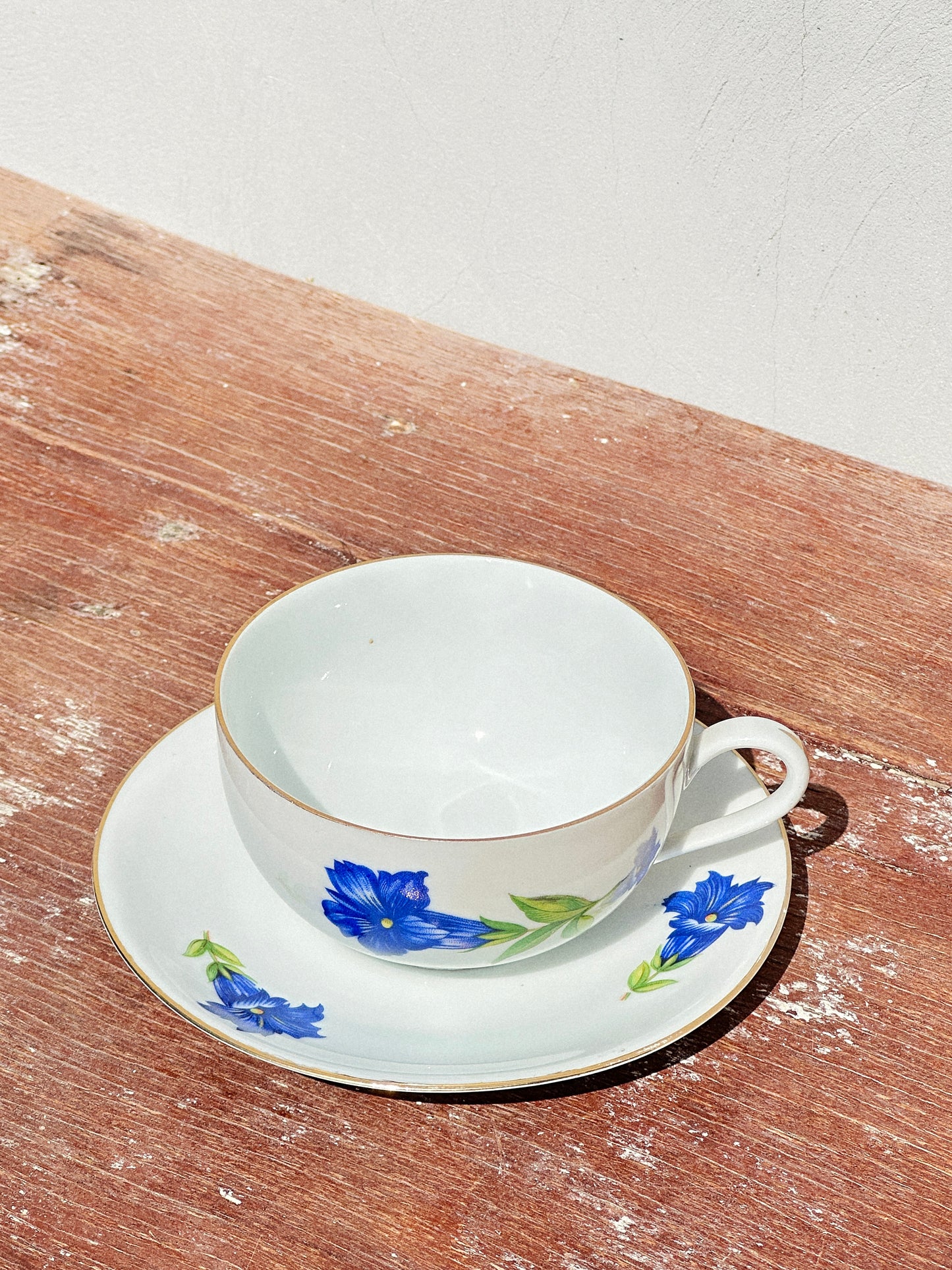 Mix & Match Set Gentian Collection Plankenhammer Floss x Seltmann Weiden x Joseph Rieber  x Johann Haviland (Germany, 1940s)