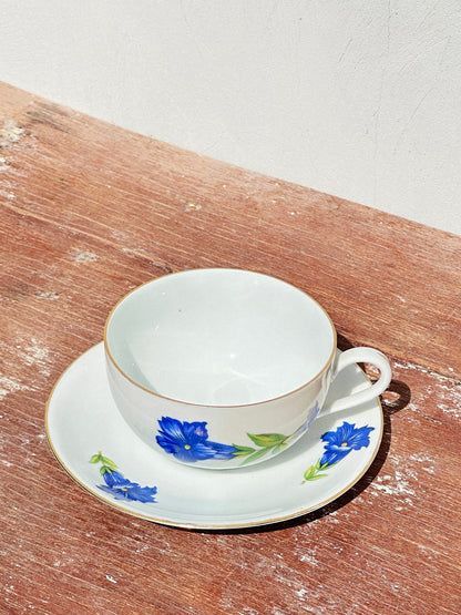 Mix & Match Set Gentian Collection Plankenhammer Floss x Seltmann Weiden x Joseph Rieber  x Johann Haviland (Germany, 1940s)