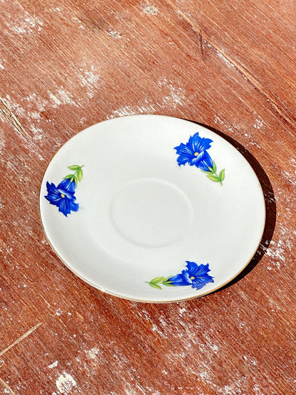 Mix & Match Set Gentian Collection Plankenhammer Floss x Seltmann Weiden x Joseph Rieber  x Johann Haviland (Germany, 1940s)