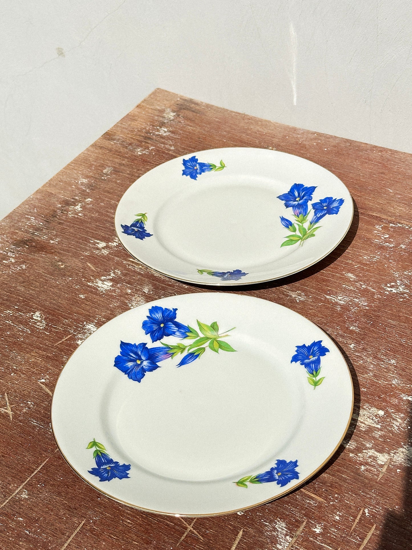Mix & Match Set Gentian Collection Plankenhammer Floss x Seltmann Weiden x Joseph Rieber  x Johann Haviland (Germany, 1940s)