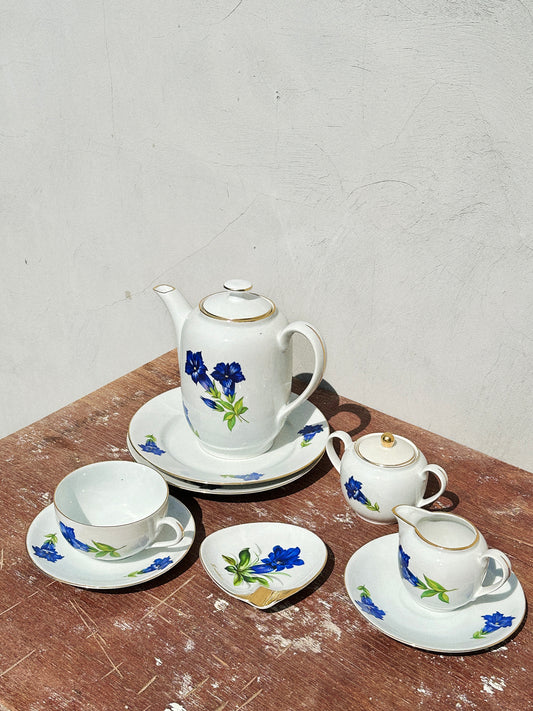 Mix & Match Set Gentian Collection Plankenhammer Floss x Seltmann Weiden x Joseph Rieber  x Johann Haviland (Germany, 1940s)