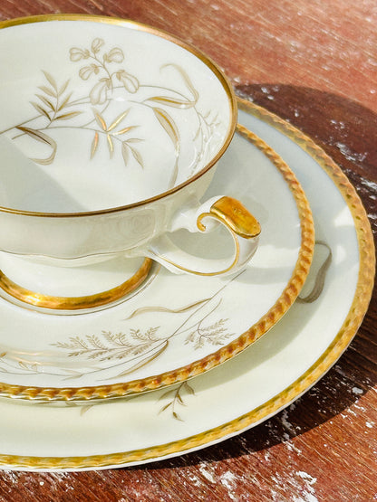 Rare Johann Haviland Porcelain Trio Set (Germany, 1920s)